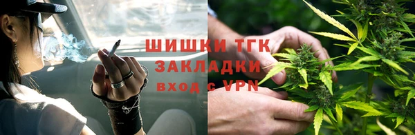 spice Алзамай
