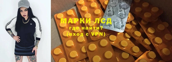 spice Алзамай