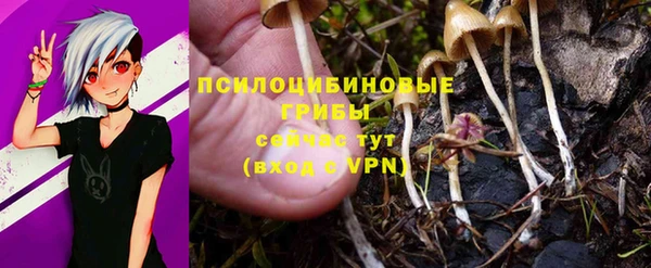 первитин Алексеевка