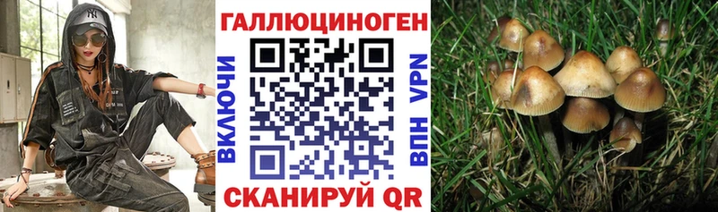 Галлюциногенные грибы мицелий  где найти   мега онион  Артёмовский 